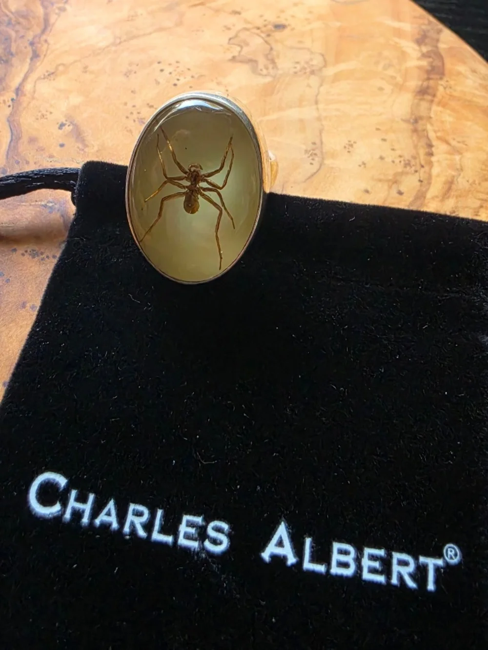Fine Silver & Brown Recluse Spider Ring (Glows in the Dark!)